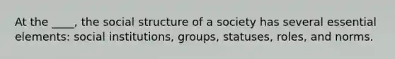 At the ____, the social structure of a society has several essential elements: social institutions, groups, statuses, roles, and norms.