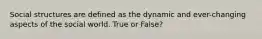 Social structures are defined as the dynamic and ever-changing aspects of the social world. True or False?