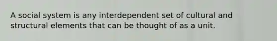 A social system is any interdependent set of cultural and structural elements that can be thought of as a unit.