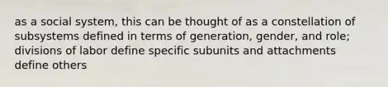 as a social system, this can be thought of as a constellation of subsystems defined in terms of generation, gender, and role; divisions of labor define specific subunits and attachments define others