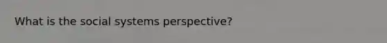 What is the social systems perspective?