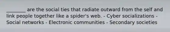 ________ are the social ties that radiate outward from the self and link people together like a spider's web. - Cyber socializations - Social networks - Electronic communities - Secondary societies