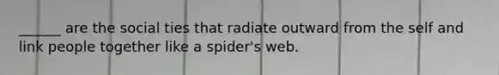 ______ are the social ties that radiate outward from the self and link people together like a spider's web.