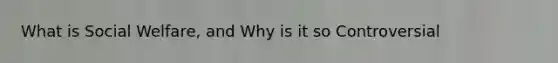 What is Social Welfare, and Why is it so Controversial