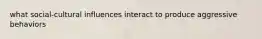 what social-cultural influences interact to produce aggressive behaviors