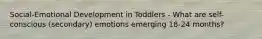 Social-Emotional Development in Toddlers - What are self-conscious (secondary) emotions emerging 18-24 months?