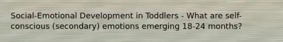 Social-Emotional Development in Toddlers - What are self-conscious (secondary) emotions emerging 18-24 months?