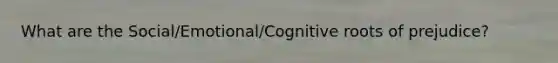 What are the Social/Emotional/Cognitive roots of prejudice?