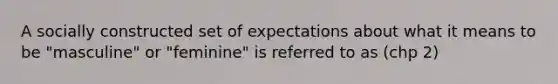 A socially constructed set of expectations about what it means to be "masculine" or "feminine" is referred to as (chp 2)