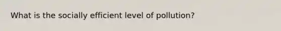 What is the socially efficient level of pollution?