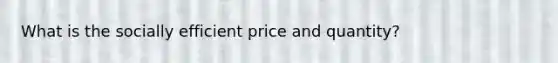 What is the socially efficient price and quantity?