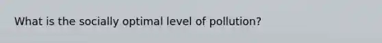 What is the socially optimal level of pollution?