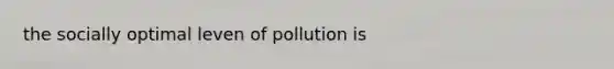 the socially optimal leven of pollution is