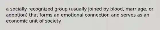 a socially recognized group (usually joined by blood, marriage, or adoption) that forms an emotional connection and serves as an economic unit of society