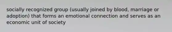 socially recognized group (usually joined by blood, marriage or adoption) that forms an emotional connection and serves as an economic unit of society