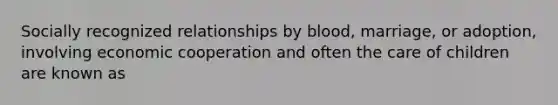 Socially recognized relationships by blood, marriage, or adoption, involving economic cooperation and often the care of children are known as