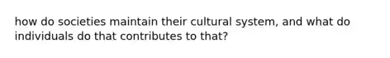 how do societies maintain their cultural system, and what do individuals do that contributes to that?