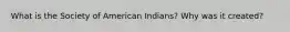 What is the Society of American Indians? Why was it created?