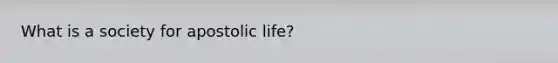 What is a society for apostolic life?