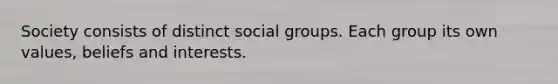 Society consists of distinct social groups. Each group its own values, beliefs and interests.