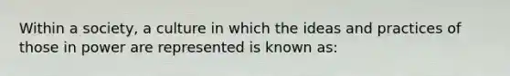 Within a society, a culture in which the ideas and practices of those in power are represented is known as: