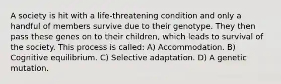 A society is hit with a life-threatening condition and only a handful of members survive due to their genotype. They then pass these genes on to their children, which leads to survival of the society. This process is called: A) Accommodation. B) Cognitive equilibrium. C) Selective adaptation. D) A genetic mutation.