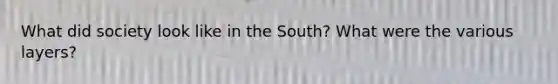 What did society look like in the South? What were the various layers?