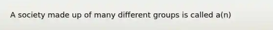 A society made up of many different groups is called a(n)