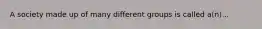 A society made up of many different groups is called a(n)...