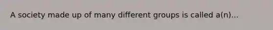 A society made up of many different groups is called a(n)...