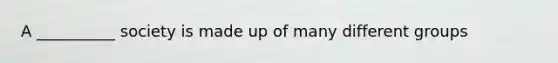 A __________ society is made up of many different groups