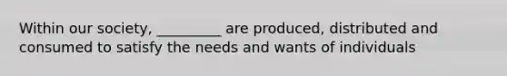 Within our society, _________ are produced, distributed and consumed to satisfy the needs and wants of individuals