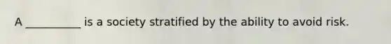A __________ is a society stratified by the ability to avoid risk.