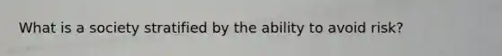 What is a society stratified by the ability to avoid risk?
