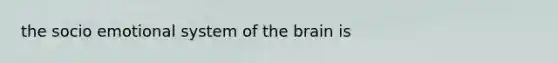 the socio emotional system of the brain is