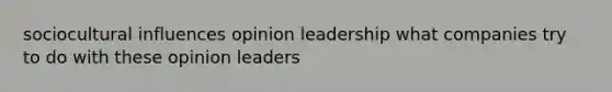 sociocultural influences opinion leadership what companies try to do with these opinion leaders