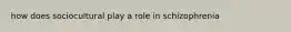 how does sociocultural play a role in schizophrenia