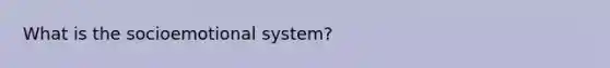 What is the socioemotional system?