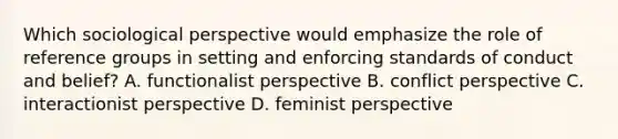 Which sociological perspective would emphasize the role of reference groups in setting and enforcing standards of conduct and belief? A. functionalist perspective B. conflict perspective C. interactionist perspective D. feminist perspective