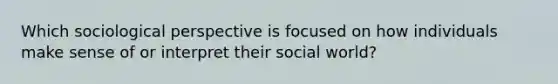 Which sociological perspective is focused on how individuals make sense of or interpret their social world?