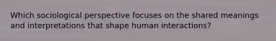 Which sociological perspective focuses on the shared meanings and interpretations that shape human interactions?