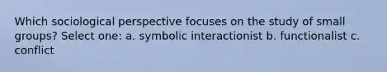 Which sociological perspective focuses on the study of small groups? Select one: a. symbolic interactionist b. functionalist c. conflict