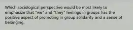 Which sociological perspective would be most likely to emphasize that "we" and "they" feelings in groups has the positive aspect of promoting in group solidarity and a sense of belonging.