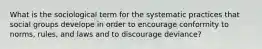 What is the sociological term for the systematic practices that social groups develope in order to encourage conformity to norms, rules, and laws and to discourage deviance?