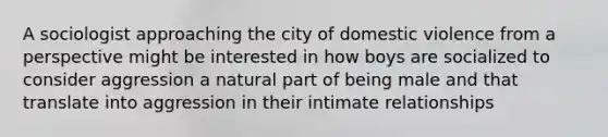 A sociologist approaching the city of domestic violence from a perspective might be interested in how boys are socialized to consider aggression a natural part of being male and that translate into aggression in their intimate relationships