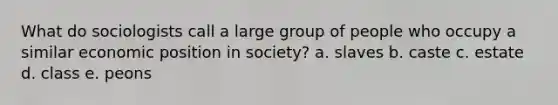 What do sociologists call a large group of people who occupy a similar economic position in society? a. slaves b. caste c. estate d. class e. peons