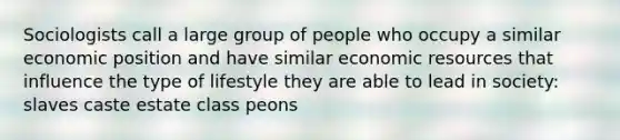 Sociologists call a large group of people who occupy a similar economic position and have similar economic resources that influence the type of lifestyle they are able to lead in society: slaves caste estate class peons