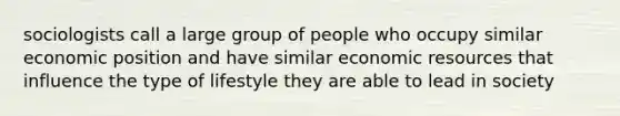 sociologists call a large group of people who occupy similar economic position and have similar economic resources that influence the type of lifestyle they are able to lead in society