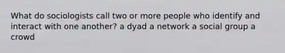 What do sociologists call two or more people who identify and interact with one another? a dyad a network a social group a crowd