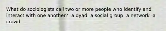 What do sociologists call two or more people who identify and interact with one another? -a dyad -a social group -a network -a crowd